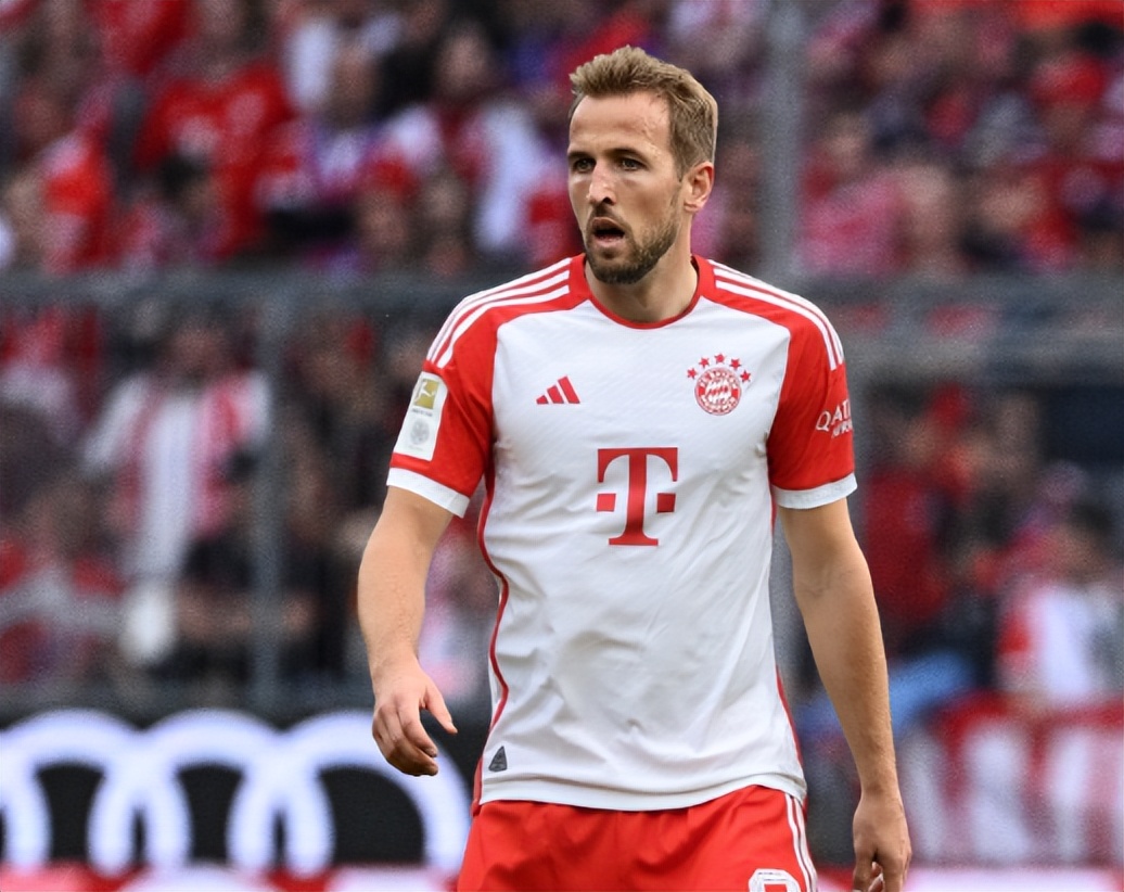 关键词已清 关键词已清