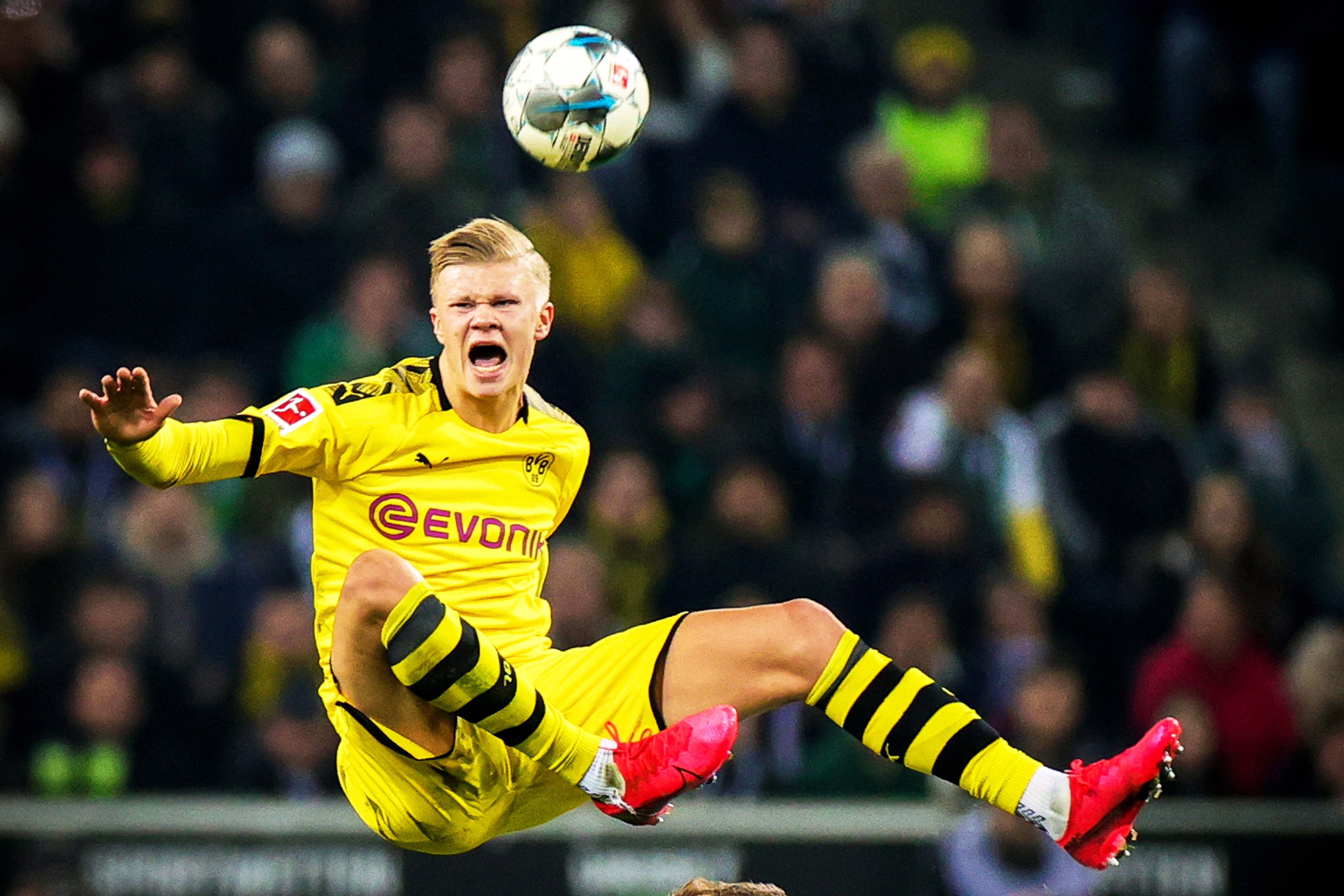 把高利润线 把高利润线